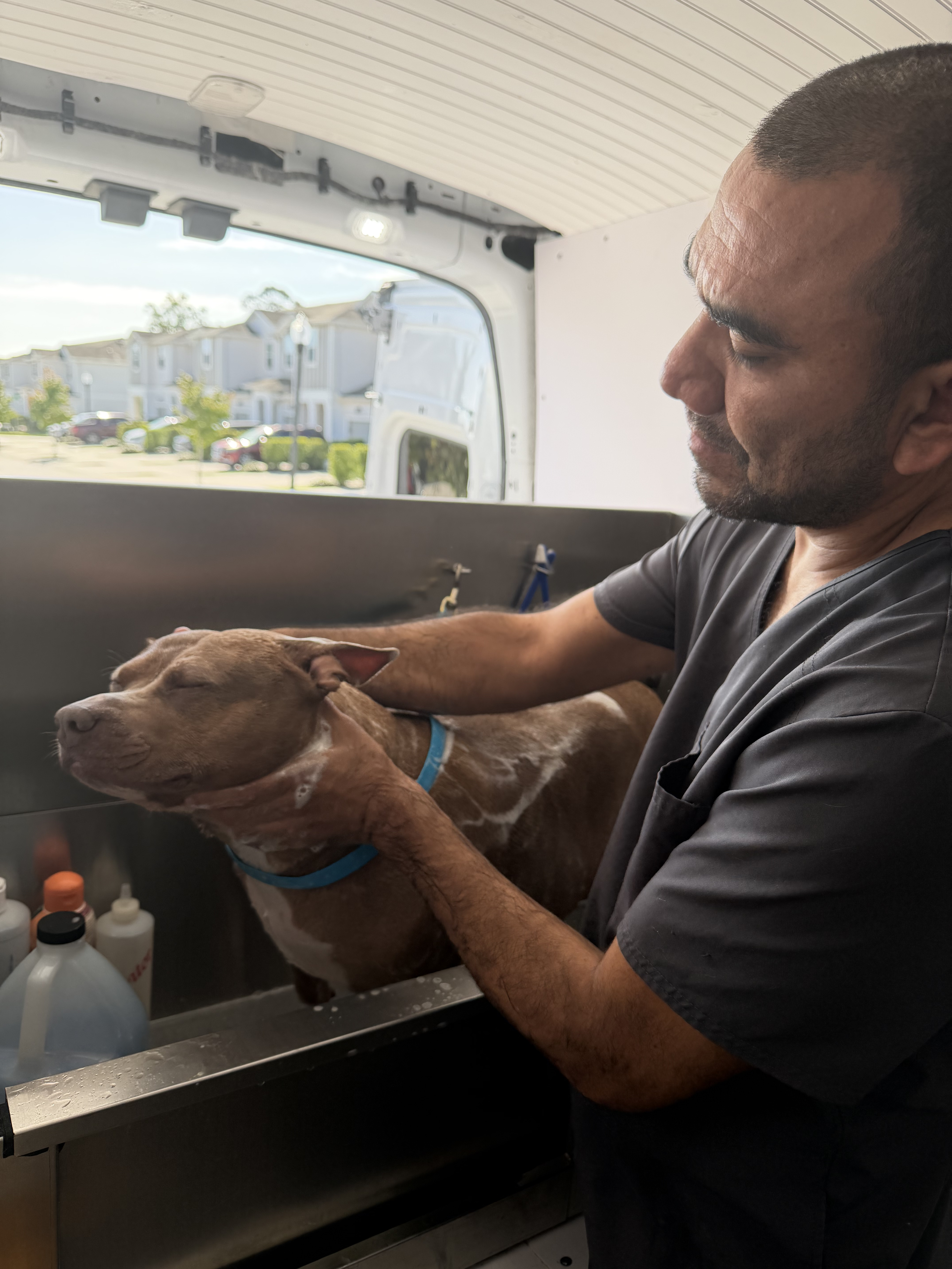 Expert Groomer with happy dog